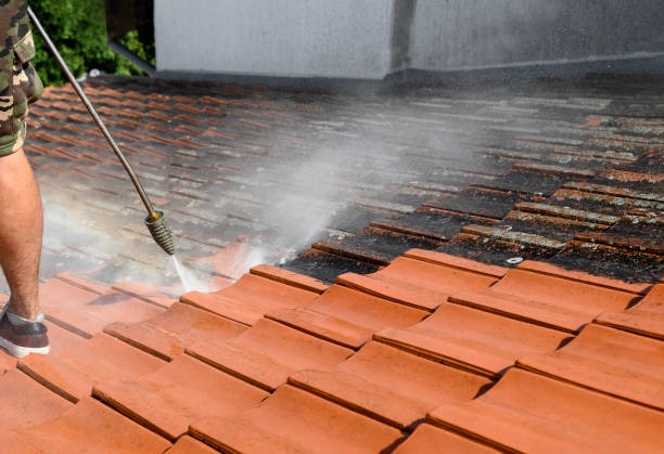 Best Roof Pressure Washing  in Taft, TX